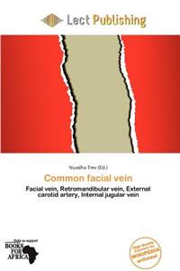 Common Facial Vein