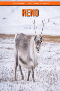 Reno