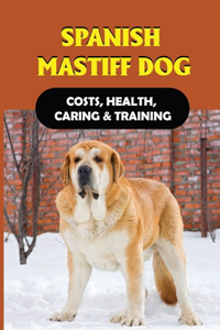 Spanish Mastiff Dog