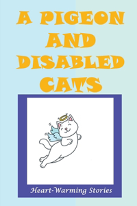 A Pigeon And Disabled Cats