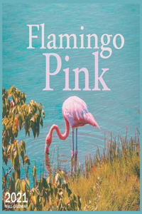 Flamingo Pink