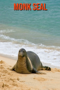 Monk Seal