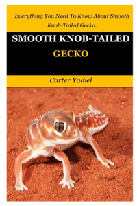 Smooth Knob-Tailed Gecko