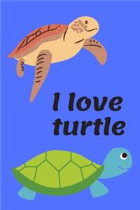 I love turtle