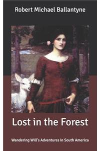 Lost in the Forest