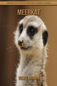 Meerkat