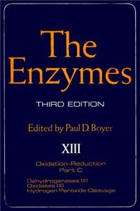 The Enzymes