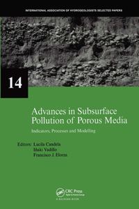 Advances in Subsurface Pollution of Porous Media - Indicators, Processes and Modelling