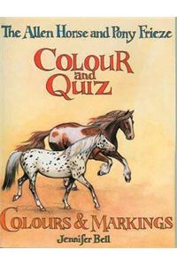 The Allen Horse and Pony Frieze, Colour and Quiz