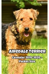 Airedale Terrier Calendar 2019-2020 - Pocket Size