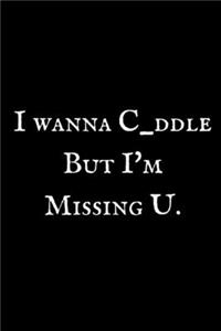 I Wanna C_ddle But I'm Missing You: Blank Note Book Diary 6 x 9 Size 100 Lined Pages COLLEGE Ruled!.