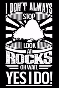 I Don't Always Stop and Look at Rocks Oh Wait Yes I Do
