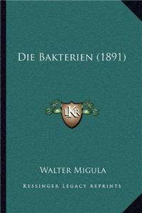Bakterien (1891)