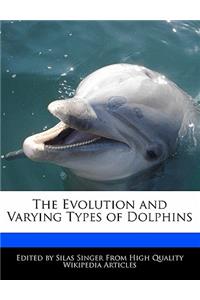 The Evolution and Varying Types of Dolphins