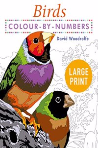 Large Print Colour by Numbers Birds