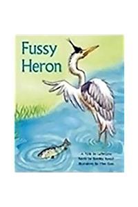 Fussy Heron