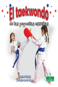 Taekwondo de Las Pequeñas Estrellas (Little Stars Taekwondo)