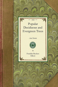 Popular Deciduous and Evergreen Trees