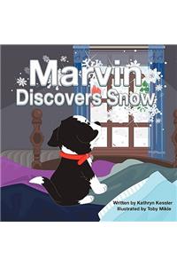 Marvin Discovers Snow