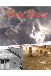 Poetic Visions