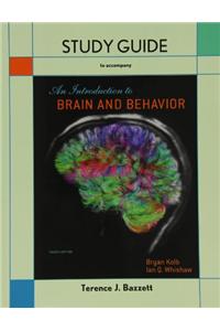 Study Guide for Introduction to Brain and Behavior