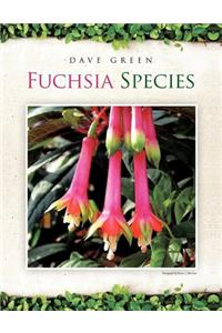 Fuchsia Species