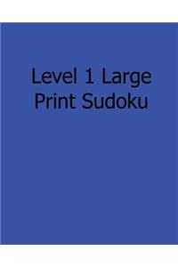 Level 1 Large Print Sudoku