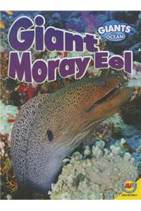 Giant Moray Eel