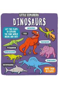 Little Explorers: Dinosaurs