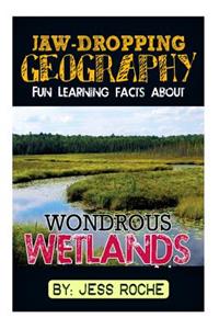 Jaw-Dropping Geography: Fun Learning Facts about Wondrous Wetlands: Illustrated Fun Learning for Kids