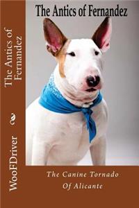 The Antics of Fernandeze