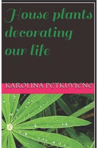House plants decorating our life