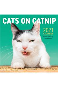 Cats on Catnip Wall Calendar 2021