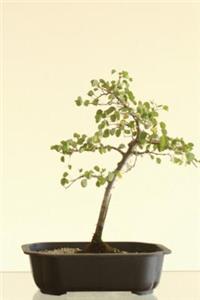 Zen Tree Meditation Journal
