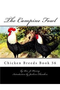 Campine Fowl: Chicken Breeds Book 56