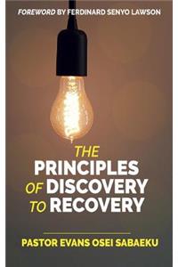 The Principles of Discovery to Recovery