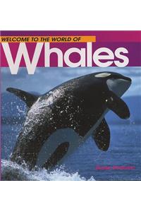 Welcome Whales (Wonderful Worl