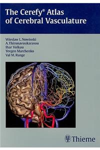 The Cerefy Atlas of Cerebral Vasculature