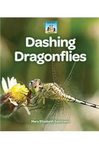 Dashing Dragonflies