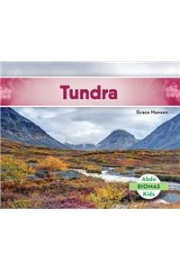 Tundra (Tundra Biome) (Spanish Version)