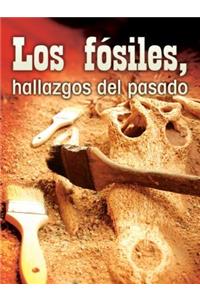 Los Fósiles, Hallazgos del Pasado