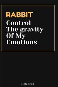 RABBIT Control The gravity Of My Emotions