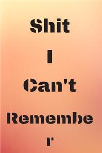 Shit I Can't Remember