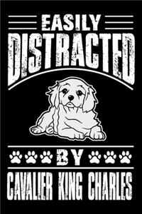Easily Distracted By Cavalier King Charles