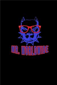 Mr. World Wide