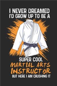 Funny Martial Arts Instructor