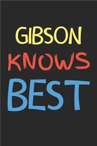 Gibson Knows Best