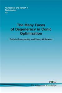The Many Faces of Degeneracy in Conic Optimization