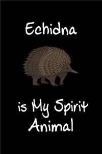 Echidna is My Spirit Animal