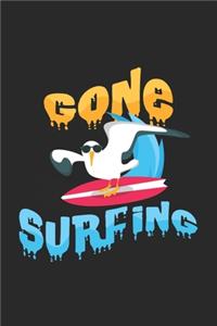 Gone surfing